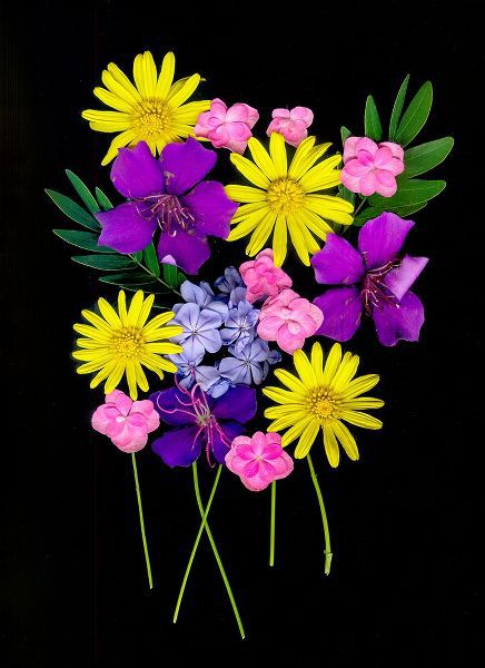 Looney, Hollice 아티스트의 USA-Florida-Celebration-A bouquet of flowers작품입니다.